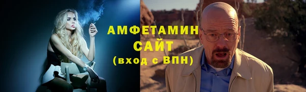 стаф Алзамай